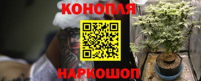 ПСИЛОЦИБИНОВЫЕ ГРИБЫ Будённовск