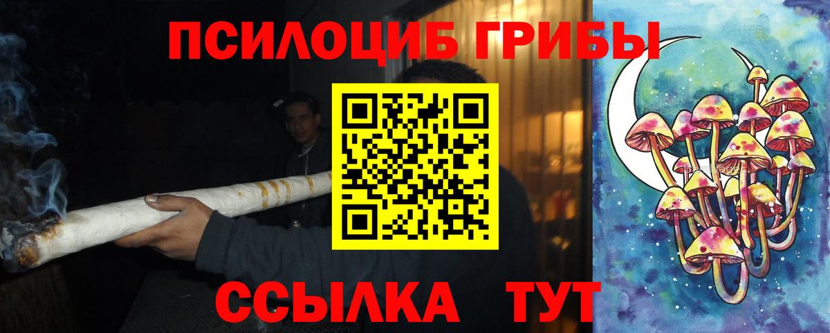 Ленинск-Кузнецкий  Псилоцибиновые грибы мухоморы  Вход с VPN  Галлюциногенные грибы Cubensis 