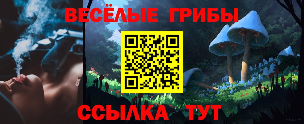 Ленинск-Кузнецкий  Канабис  Меф кристаллы  COCAIN  Вход с VPN  ГАШИШ  A PVP СК  